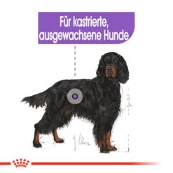 Royal Canin Maxi Sterilised - Hundefutter 13 Royal Canin Maxi Sterilised - Hundefutter -Happy Hundchen Geschaft royal canin maxi sterilised hondenvoer 132662 0500 none