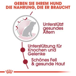 Royal Canin Medium Ageing 10+ Wet - Hundefutter 15 Royal Canin Medium Ageing 10+ Wet - Hundefutter -Happy Hundchen Geschaft royal canin medium ageing 10 wet hondenvoer 129197 0500 none