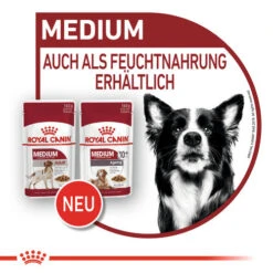 Royal Canin Medium Ageing 10+ Wet - Hundefutter 19 Royal Canin Medium Ageing 10+ Wet - Hundefutter -Happy Hundchen Geschaft royal canin medium ageing 10 wet hondenvoer 129239 0500 none