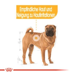 Royal Canin Medium Dermacomfort - Hundefutter -Happy Hundchen Geschaft royal canin medium dermacomfort hondenvoer 143273 0500 none