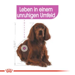 Royal Canin Medium Relax Care - Hundefutter -Happy Hundchen Geschaft royal canin medium relax care hondenvoer 131183 0500 none