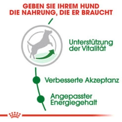 Royal Canin Mini Adult 8+ - Hundefutter -Happy Hundchen Geschaft royal canin mini adult 8 hondenvoer 128594 0500 none