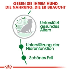 Royal Canin Mini Ageing 12+ - Hundefutter -Happy Hundchen Geschaft royal canin mini ageing 12 hondenvoer 128927 0500 none