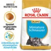 Royal Canin Mini Schnauzer Puppy - Hundefutter 2 Royal Canin Mini Schnauzer Puppy - Hundefutter -Happy Hundchen Geschaft royal canin mini schnauzer puppy hondenvoer 140197 0500 none