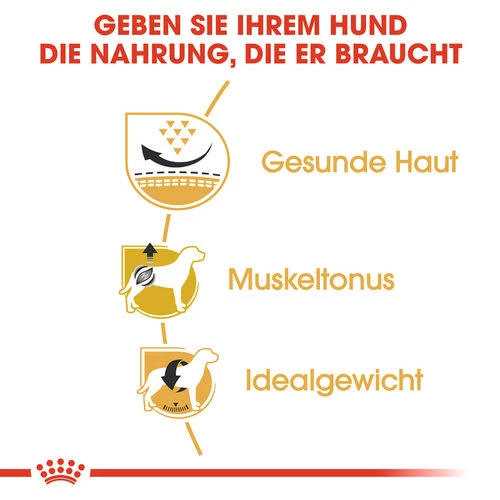 Royal Canin Pug Adult - Hundefutter 4 Royal Canin Pug Adult - Hundefutter – Bild 2