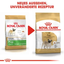 Royal Canin Pug Adult - Hundefutter 13 Royal Canin Pug Adult - Hundefutter -Happy Hundchen Geschaft royal canin pug adult hondenvoer 139825 0500 none