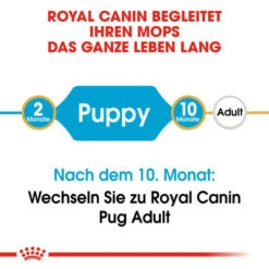 Royal Canin Pug Puppy - Hundefutter -Happy Hundchen Geschaft royal canin pug puppy hondenvoer 139858 0500 none