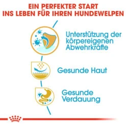 Royal Canin Pug Puppy - Hundefutter -Happy Hundchen Geschaft royal canin pug puppy hondenvoer 139876 0500 none