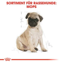 Royal Canin Pug Puppy - Hundefutter -Happy Hundchen Geschaft royal canin pug puppy hondenvoer 139885 0500 none