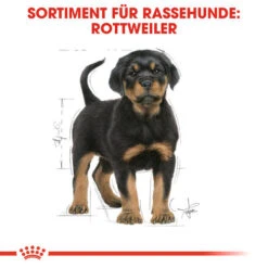 Royal Canin Rottweiler Puppy - Hundefutter -Happy Hundchen Geschaft royal canin rottweiler puppy hondenvoer 140029 0500 none