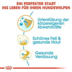 Royal Canin Shih Tzu Puppy - Hundefutter 11 Royal Canin Shih Tzu Puppy - Hundefutter -Happy Hundchen Geschaft royal canin shih tzu junior hondenvoer 140402 0500 none