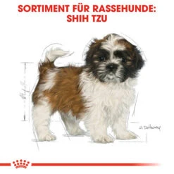 Royal Canin Shih Tzu Puppy - Hundefutter 13 Royal Canin Shih Tzu Puppy - Hundefutter -Happy Hundchen Geschaft royal canin shih tzu junior hondenvoer 140411 0500 none