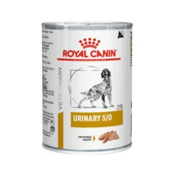 Royal Canin Urinary S/O Hund -Happy Hundchen Geschaft royal canin urinary so hond 130511 0500 none