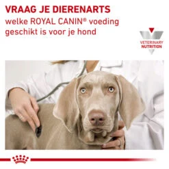 Royal Canin Urinary S/O Hund -Happy Hundchen Geschaft royal canin urinary so hond 153688 0500 none