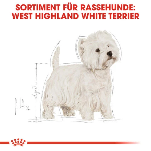 Royal Canin West Highland White Terrier Adult - Hundefutter 6 Royal Canin West Highland White Terrier Adult - Hundefutter – Bild 4