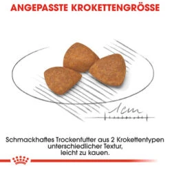 Royal Canin X-Small Ageing 12+ - Hundefutter 14 Royal Canin X-Small Ageing 12+ - Hundefutter -Happy Hundchen Geschaft royal canin x small ageing 12 hondenvoer 128977 0500 none