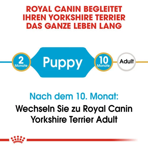 Royal Canin Yorkshire Terrier Puppy - Hundefutter 7 Royal Canin Yorkshire Terrier Puppy - Hundefutter – Bild 5