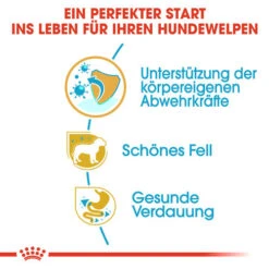 Royal Canin Yorkshire Terrier Puppy - Hundefutter 11 Royal Canin Yorkshire Terrier Puppy - Hundefutter -Happy Hundchen Geschaft royal canin yorkshire terrier puppy hondenvoer 140795 0500 none