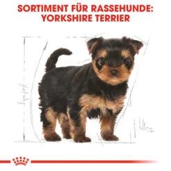 Royal Canin Yorkshire Terrier Puppy - Hundefutter 13 Royal Canin Yorkshire Terrier Puppy - Hundefutter -Happy Hundchen Geschaft royal canin yorkshire terrier puppy hondenvoer 140804 0500 none