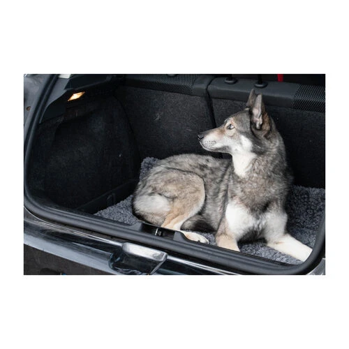 Royal Dry Doormat 6 Royal Dry Doormat – Bild 4