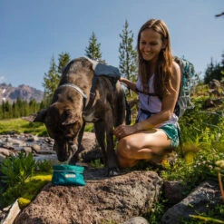 Ruffwear Flat Out Dog Collar - Alpenglow Burst 9 Ruffwear Flat Out Dog Collar - Alpenglow Burst -Happy Hundchen Geschaft ruffwear flat out dog collar alpenglow burst 204812 0500 none