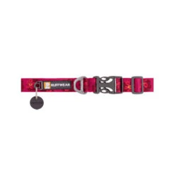 Ruffwear Flat Out Dog Collar - Alpenglow Burst 8 Ruffwear Flat Out Dog Collar - Alpenglow Burst -Happy Hundchen Geschaft ruffwear flat out dog collar alpenglow burst 204824 0500 none