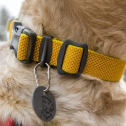 Ruffwear Hi & Light Halsband -Happy Hundchen Geschaft ruffwear hi light collar 194258 0500 none
