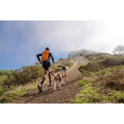 Ruffwear Hi & Light Harness -Happy Hundchen Geschaft ruffwear hi light harness 196016 0500 none