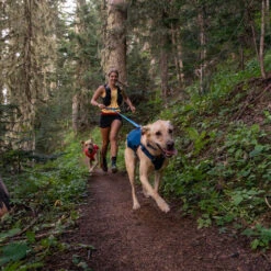 Ruffwear Roamer Leash - Blue Atoll -Happy Hundchen Geschaft ruffwear roamer leash blue atoll 204797 0500 none