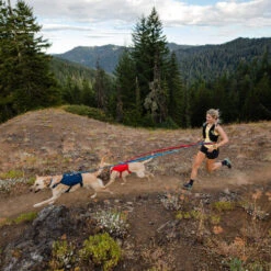 Ruffwear Roamer Leash - Blue Atoll -Happy Hundchen Geschaft ruffwear roamer leash blue atoll 204800 0500 none