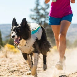 Ruffwear Swamp Cooler 21 Ruffwear Swamp Cooler -Happy Hundchen Geschaft ruffwear swamp cooler 124703 0500 none