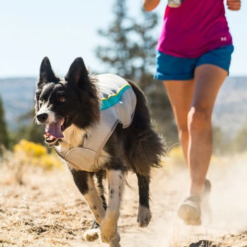 Ruffwear Swamp Cooler 10 Ruffwear Swamp Cooler – Bild 8