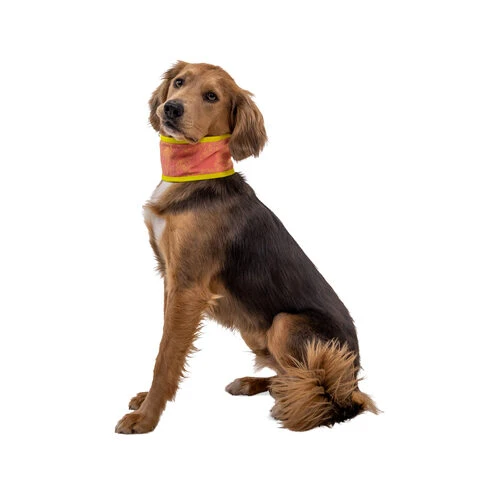 Ruffwear Swamp Cooler Neck Gaiter 6 Ruffwear Swamp Cooler Neck Gaiter – Bild 4