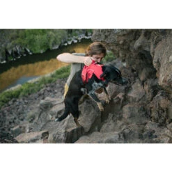 Ruffwear Webmaster Harness -Happy Hundchen Geschaft ruffwear webmaster harness 204671 0500 none