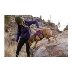 Ruffwear Webmaster Harness -Happy Hundchen Geschaft ruffwear webmaster harness 217109 0500 none