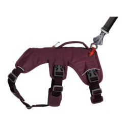 Ruffwear Webmaster Harness -Happy Hundchen Geschaft ruffwear webmaster harness 217110 0500 none