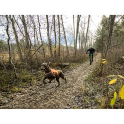 Ruffwear Webmaster Harness -Happy Hundchen Geschaft ruffwear webmaster harness 217113 0500 none