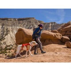 Ruffwear Webmaster Harness -Happy Hundchen Geschaft ruffwear webmaster harness 217118 0500 none