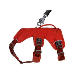 Ruffwear Webmaster Harness -Happy Hundchen Geschaft ruffwear webmaster harness 217119 0500 none