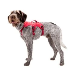 Ruffwear Webmaster Harness -Happy Hundchen Geschaft ruffwear webmaster harness 88447 0500 none