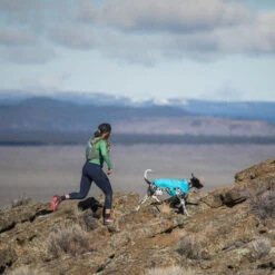 Ruffwear Wind Sprinter Jacket -Happy Hundchen Geschaft ruffwear wind sprinter jacket 124694 0500 none