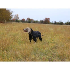 RukkaPets Protect Overall -Happy Hundchen Geschaft rukkapets protect overall zwart 216401 0500 none