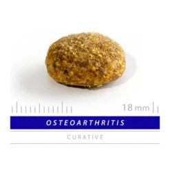 SANIMED Osteoarthritis Dog 6 SANIMED Osteoarthritis Dog -Happy Hundchen Geschaft sanimed osteoarthritis dog 159218 0500 none