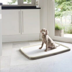 Savic Puppy Trainer + Pads 11 Savic Puppy Trainer + Pads -Happy Hundchen Geschaft savic puppy trainer pads 163498 0500 none