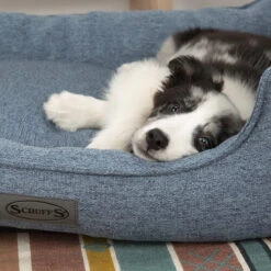 Scruffs Manhattan Box Bett 13 Scruffs Manhattan Box Bett -Happy Hundchen Geschaft scruffs manhattan box bed 209510 0500 none