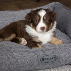 Scruffs Manhattan Box Bett 10 Scruffs Manhattan Box Bett -Happy Hundchen Geschaft scruffs manhattan box bed 209513 0500 none