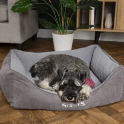 Scruffs Thermal Box Bed 9 Scruffs Thermal Box Bed -Happy Hundchen Geschaft scruffs thermal box bed 190825 0500 none