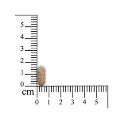 Sensipharm Omniderma Hunde 6 Sensipharm Omniderma Hunde -Happy Hundchen Geschaft sensipharm omniderma hond 174730 0500 none