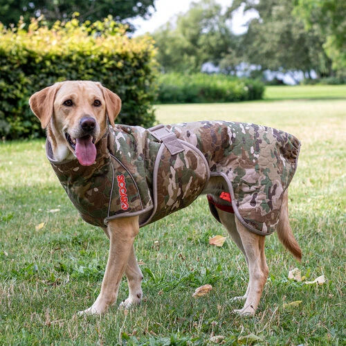 Siccaro Spirit 2.0 4 Siccaro Spirit 2.0 – Bild 2