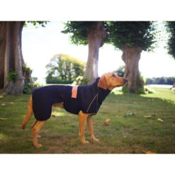 Siccaro WetDog SupremePro -Happy Hundchen Geschaft siccaro wetdog supremepro 20 216995 0500 none